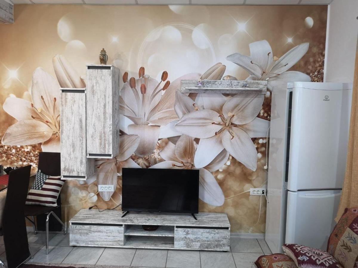 Eden Studio Constanta Luaran gambar